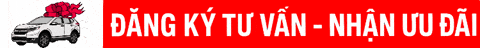 ycbg